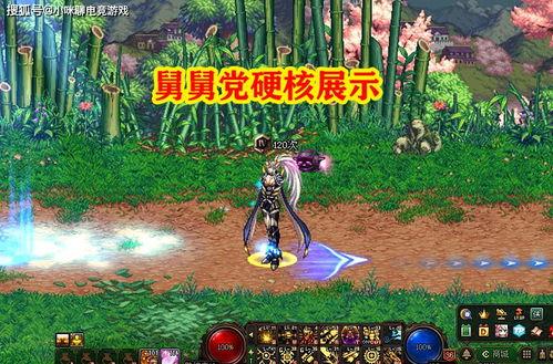 dnf 105最新爆料,技能革新与职业平衡，探索新篇章